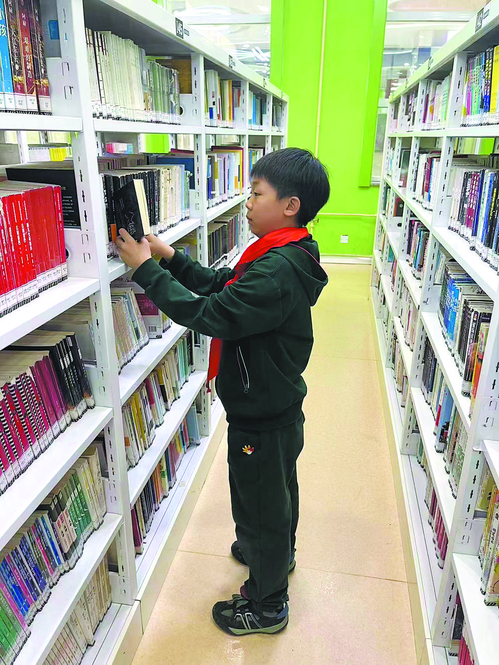 石家庄市图书馆“阅读达人”揭晓 十人上榜