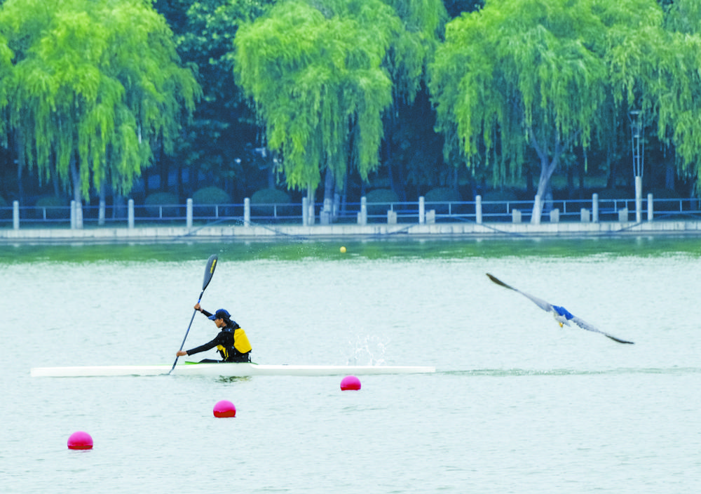 少年挥桨太平河 奋斗青春是美景石家庄市水上体育运动中心运动员积极备战省赛艇、皮划艇锦标赛